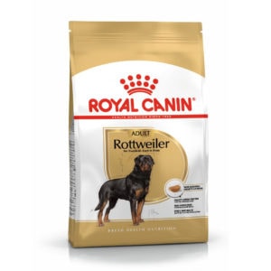 rottweiler-adult1