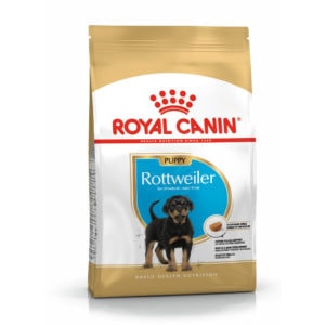 rottweiler-puppy1