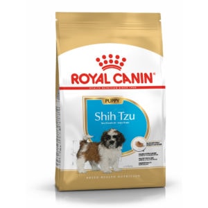 shih-tzu-puppy1